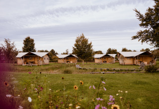Safaritent glamping op vakantiepark Eigen Wijze in Nederland, omringd door groene velden en bloemen.