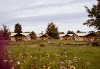 Safaritent glamping op vakantiepark Eigen Wijze in Nederland, omringd door groene velden en bloemen.