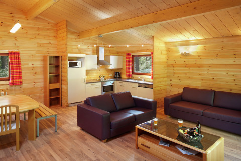 Bright, cozy living space in The Forest Hut chalet in Belgium, featuring wood decor and open kitchen.