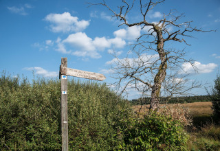 Un cartello e un albero spoglio sotto un cielo blu vicino a Le Chalet sous les Hetres in Belgio.