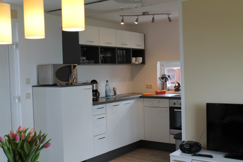 Modern kitchen and living area at the lodge ‘On the Beach’ in Germany, fully equipped with appliances.