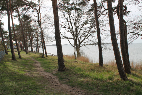 Pad bij het water en bomen aan lodge «On the Beach» in Duitsland, zicht op het meer of rivier.