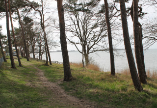 Path along trees and grass by the water at «On the Beach» lodge in Germany, peaceful lakeside view.