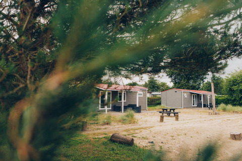 View through trees of Dune Lodge cabins at Duinhoeve in the Netherlands, with sandy ground and picnic tables.