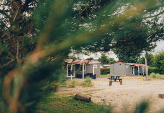 View through trees of Dune Lodge cabins at Duinhoeve in the Netherlands, with sandy ground and picnic tables.