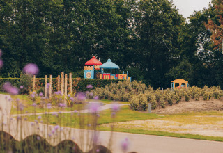 Playground with colorful equipment at Dune Lodge, Duinhoeve, Netherlands, surrounded by greenery and trees.