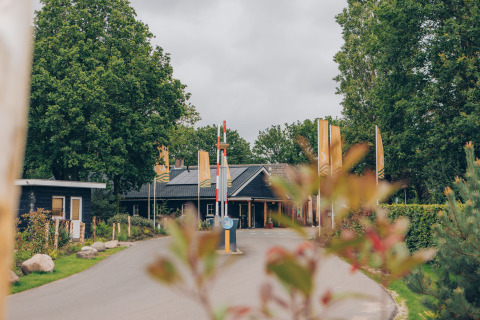 Entrance to Dune Lodge at Duinhoeve, Netherlands, with trees and yellow flags on a cloudy day.