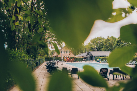 View of the pool and Dune Lodge at Duinhoeve, Netherlands, seen through green leaves.