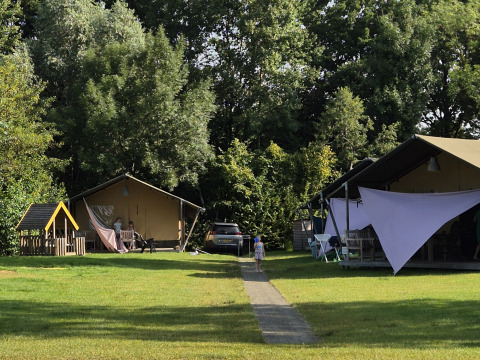 Safarizelte auf Camping De Rammelbeek in den Niederlanden, Kinder spielen im Grünen unter Bäumen.