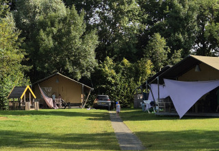 Safarizelte auf Camping De Rammelbeek in den Niederlanden, Kinder spielen im Grünen unter Bäumen.