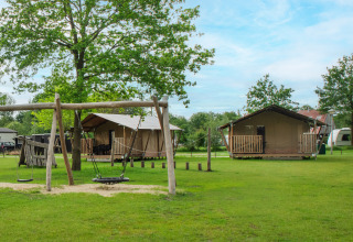 Safari-Zelt auf Camping De Rammelbeek in den Niederlanden, mit Spielplatz und grünen Wiesen im Freien.