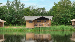 Safari-Zelt am See mit Sanitäranlagen, umgeben von Bäumen und der Spiegelung im ruhigen Wasser.