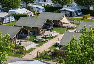 Safaritent Compact op Camping de Molenhoek in Nederland, met groen, zitplaatsen en caravans rondom.
