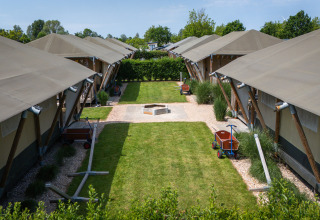 Tenda safari 'Villatent Cottage' al Camping de Molenhoek nei Paesi Bassi, con prato verde e sentieri.