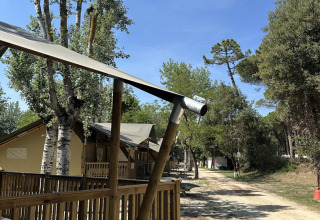 Safari-Zelt 'Outback' im Camping Spina Family Collection in Italien mit Bäumen und blauem Himmel.