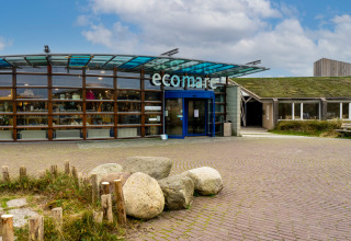 Entrance of Ecomare lodge showing a modern glass facade, green roof, and large stones beneath blue sky.
