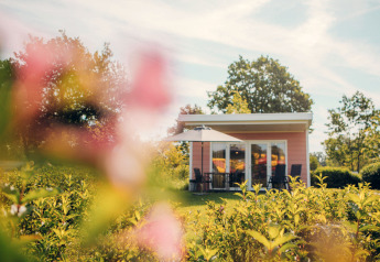 Kleines Haus Valleichalet im Holiday Park Ackersate, Niederlande, umgeben von Garten und Sonnenschirm.