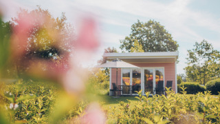 Valleichalet tiny house at Holiday park Ackersate in the Netherlands, surrounded by greenery and flowers.