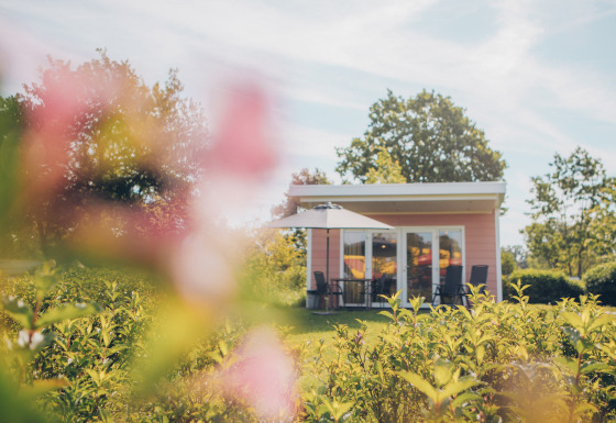 Valleichalet tiny house at Holiday park Ackersate in the Netherlands, surrounded by greenery and flowers.