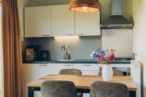 Modern kitchen and dining area in Valleichalet at Holiday park Ackersate, featuring flowers, Netherlands.