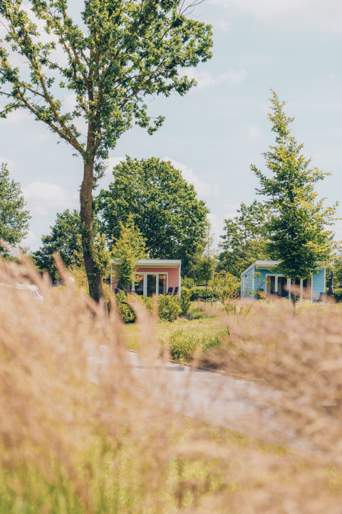 Photo of the Valleichalet tiny house at Holiday park Ackersate in the Netherlands, surrounded by trees and grass.