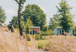 Photo of the Valleichalet tiny house at Holiday park Ackersate in the Netherlands, surrounded by trees and grass.