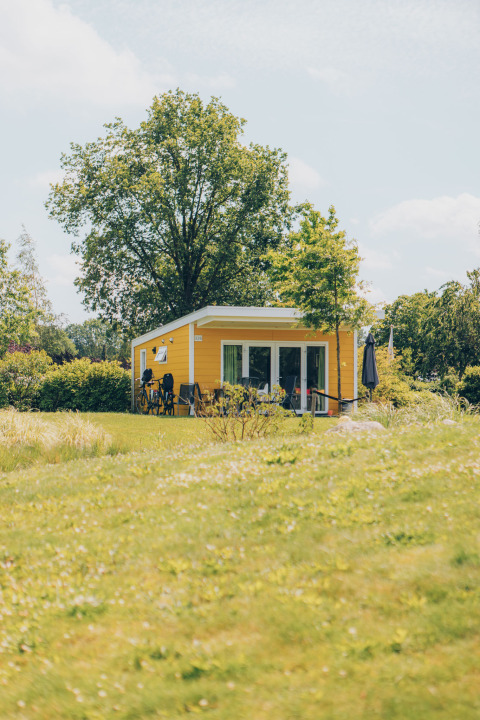 Et gult tiny house kaldet ‘Valleichalet’ i Holiday park Ackersate, Holland, omgivet af grønt og natur.