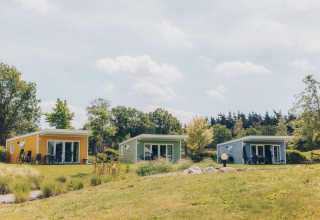 Kleurige Valleichalet tiny houses op Vakantiepark Ackersate in Nederland, omgeven door veel groen.