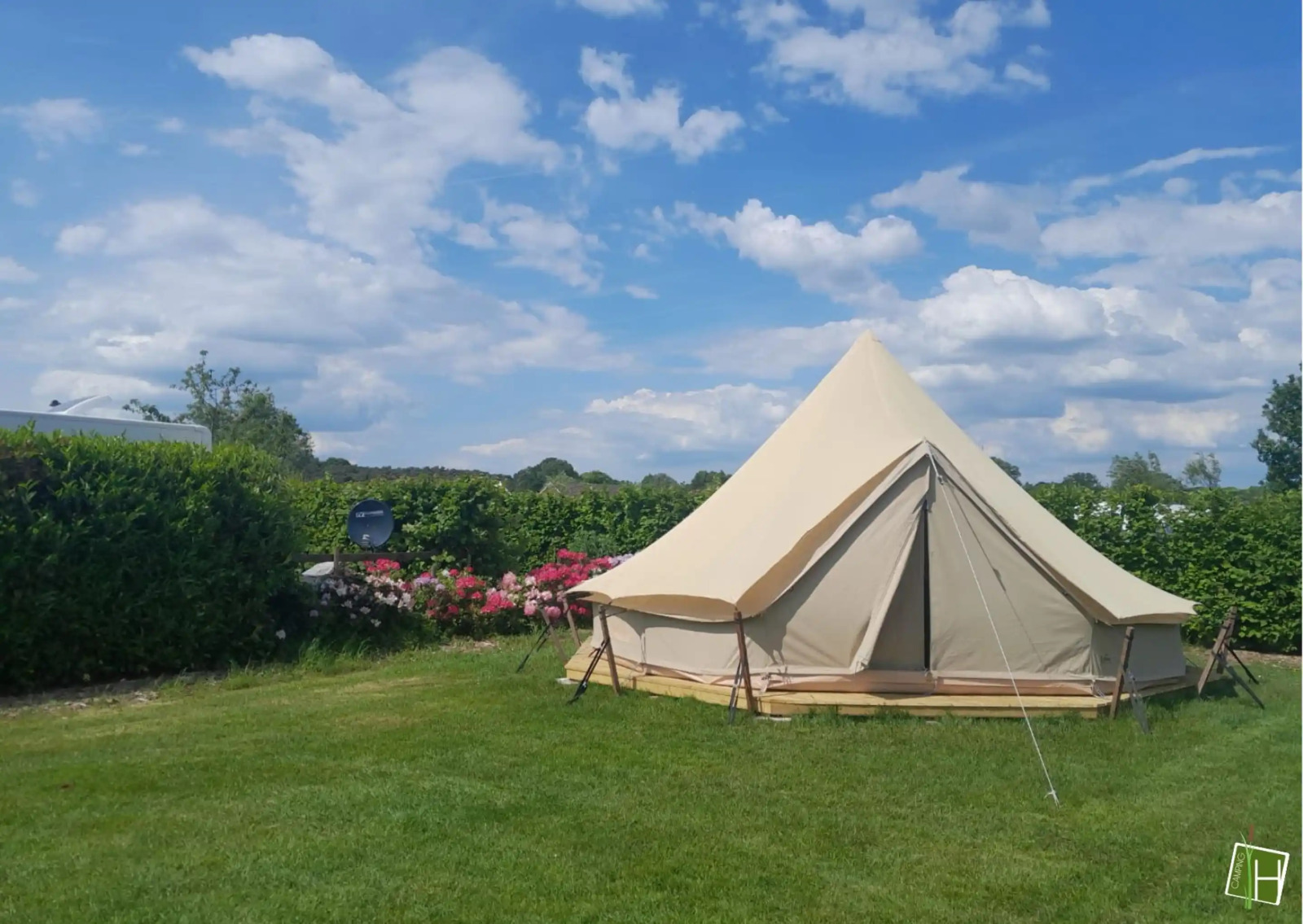 «Tipi Hoogstam»