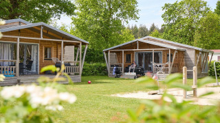 Dos tiendas safari en Camping 't Veld, Países Bajos, rodeadas de árboles verdes y césped amplio.