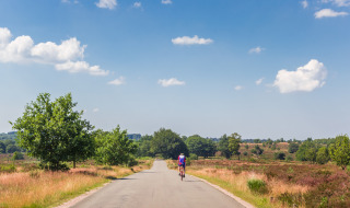 Glamping Sallandse Heuvelrug, Overijssel, Países Bajos - uso editorial