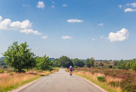 Glamping Sallandse Heuvelrug, Overijssel, Países Bajos - uso editorial