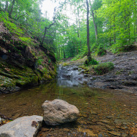 Foto de un arroyo tranquilo en un bosque verde, tomada en un parque vacacional con alojamiento glamping.