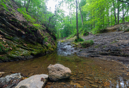 Foto eines ruhigen Baches im grünen Waldbereich eines Ferienparks mit Glamping-Unterkünften.