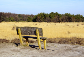 Strabrechtse heide, Someren, Nordbrabant, Niederlande
