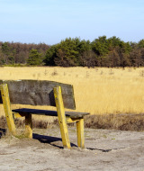 Strabrechtse heide, Someren, Brabante Septentrional, Países Bajos
