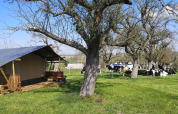 Tienda Safari con árbol y césped - Voda-Tent - Minicamping MiO - Lichtenau - Hesse - Alemania