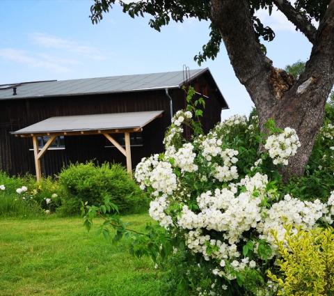 Vue des installations sanitaires - Vodatent - Minicamping MiO - Lichtenau - Hesse - Allemagne