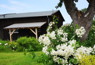 View of sanitary facilities - Vodatent - Minicamping MiO - Lichtenau - Hesse - Germany