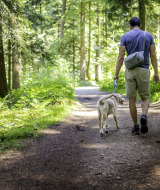 Hombre pasea a su perro por el bosque