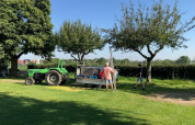 Pluktuin - Vodatent - Camping Catsop - Elsloo - Limburg - Netherlands