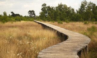 De peel, Nederweert, Limburgo, Países Bajos
