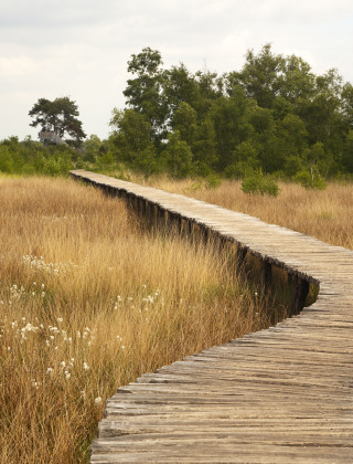 De peel, Nederweert, Limburgo, Países Bajos