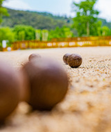 Bolos - Camping La Clémentine - Villatent - Cendras, Occitania, Francia