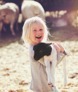 Niño rubio sonriente sostiene un cordero con un rebaño de ovejas al fondo en parque vacacional soleado.