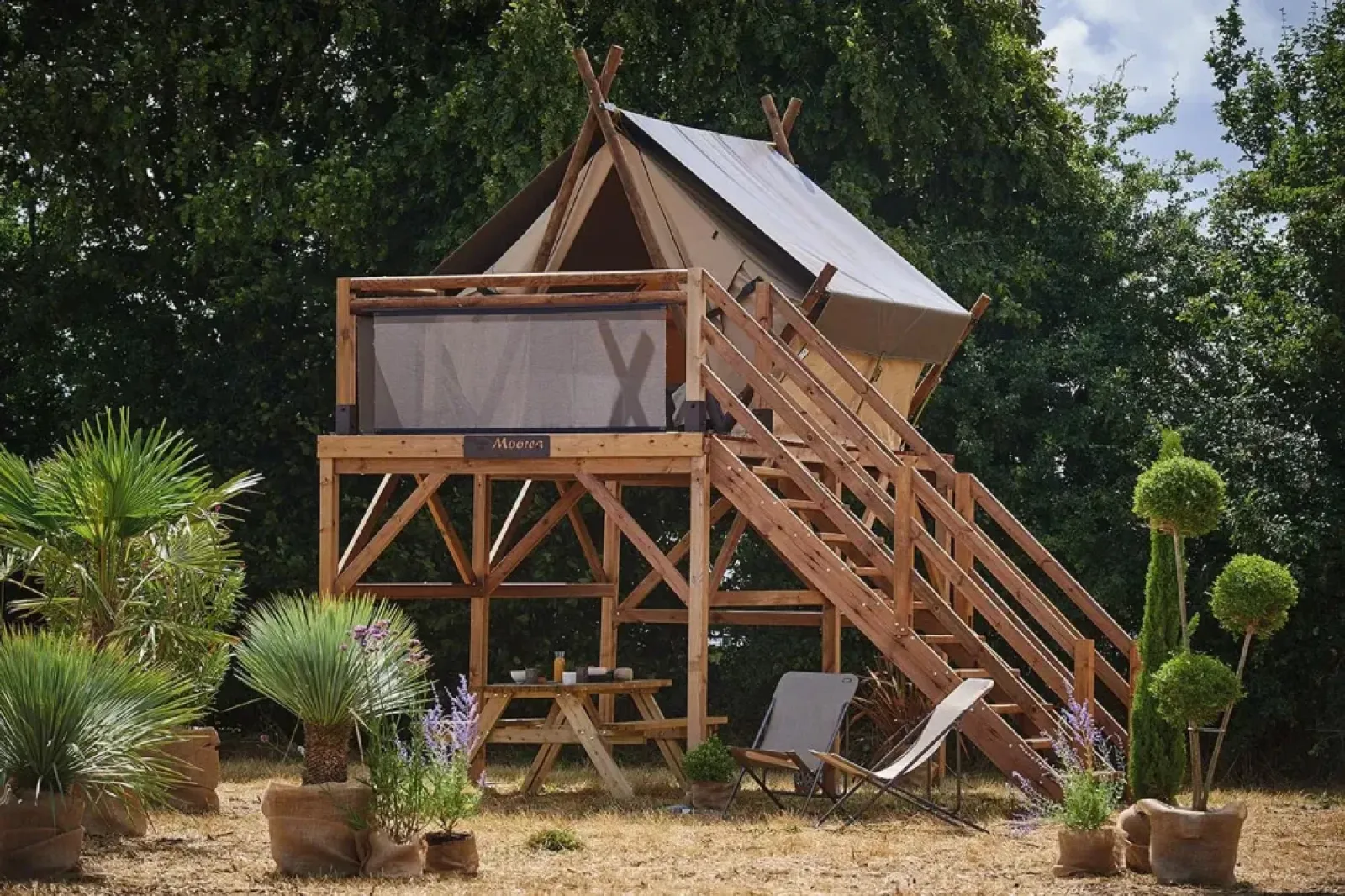 Tent «Perchee»