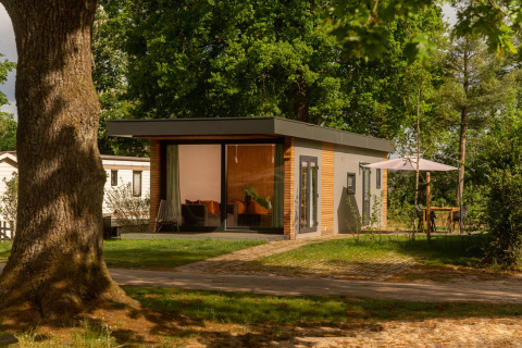 Moderne Tiny Cabin im Holiday Park Mölke in den Niederlanden, umgeben von Bäumen und Sitzecke im Freien.
