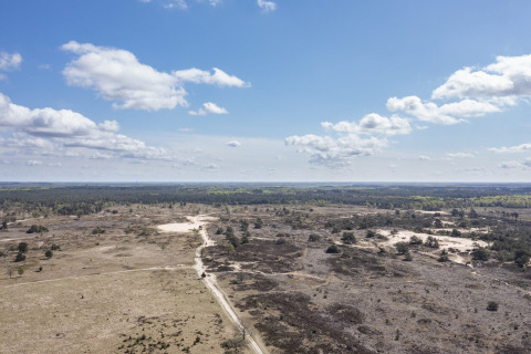 Vista desde una cabaña hacia un paisaje abierto con senderos, matorrales y cielo azul con nubes.