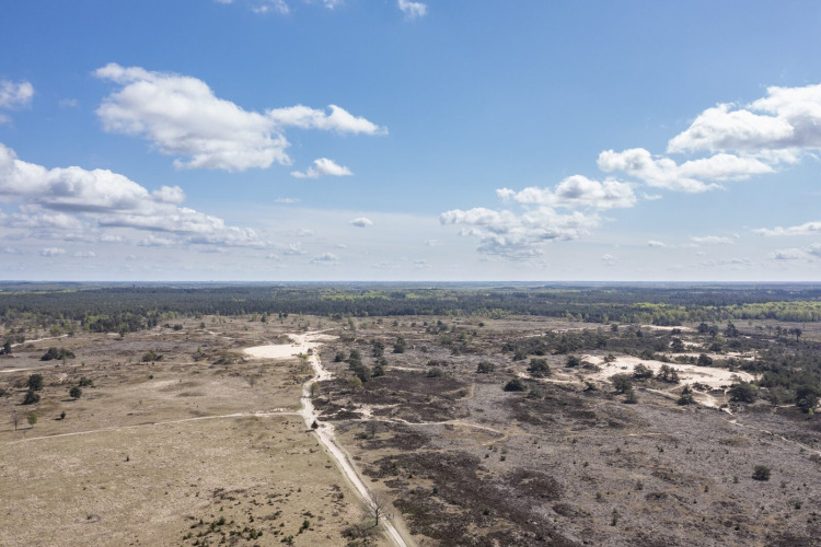 Blick von einer Lodge auf eine offene Landschaft mit Sandflächen und Wanderwegen bei klarem Himmel.