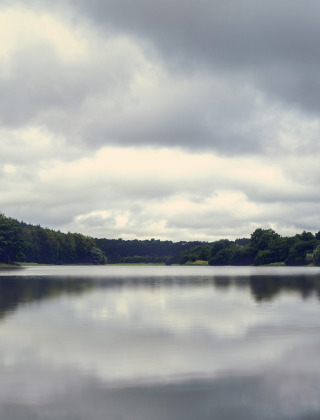 Lago tranquilo rodeado de bosque bajo cielos nublados, escenario ideal para glamping en un parque vacacional.